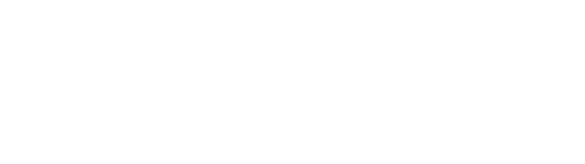 Synergy CFO Services